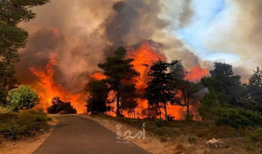 القدس: حريق هائل في مستوطنة وسلطات الاحتلال تعمل على إخماد النيران بالطائرات - صور وفيديو