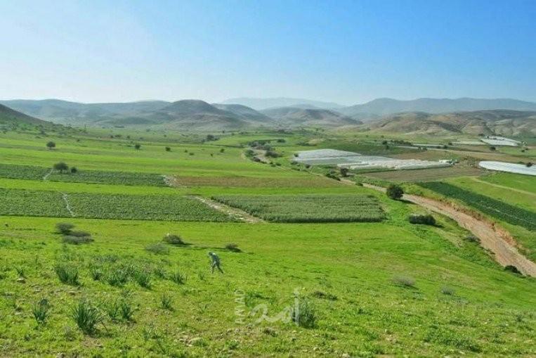 محدث - المونيتور: هل كانت الإمارات وراء قرار السماح للمزارعين الفلسطينيين الوصول إلى غور الأردن؟