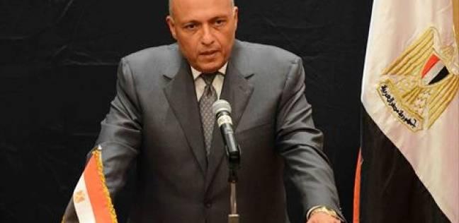 شكري: مصر تختلف مع السعودية حول حل الأزمة السورية