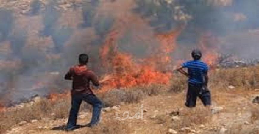 مستوطنون يضرمون النار في أراضي مادما جنوب نابلس
