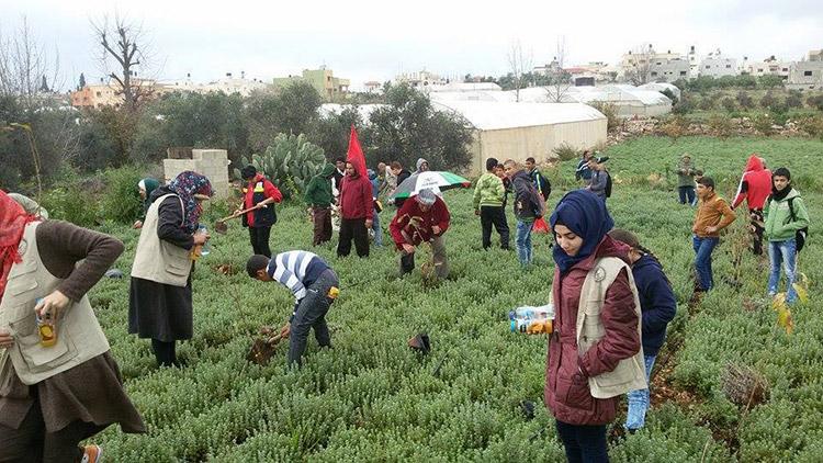 زراعة ألف شجرة حرجية في محمية "الشهيد عرفات" على سفوح عيبال