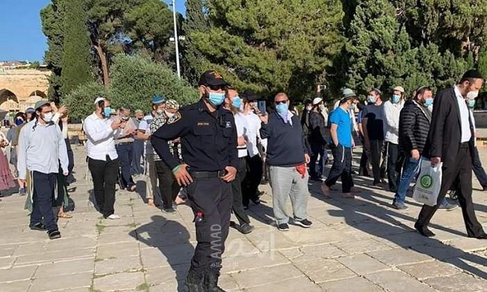 القدس: (14) مستوطناً يقتحمون ساحات "الأقصى" بحراسة مشددة