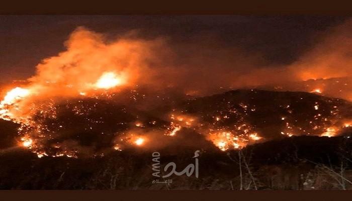 قلقيلية: اندلاع حرائق في منطقة الأحراش بين عزون وعزبة الطبيب