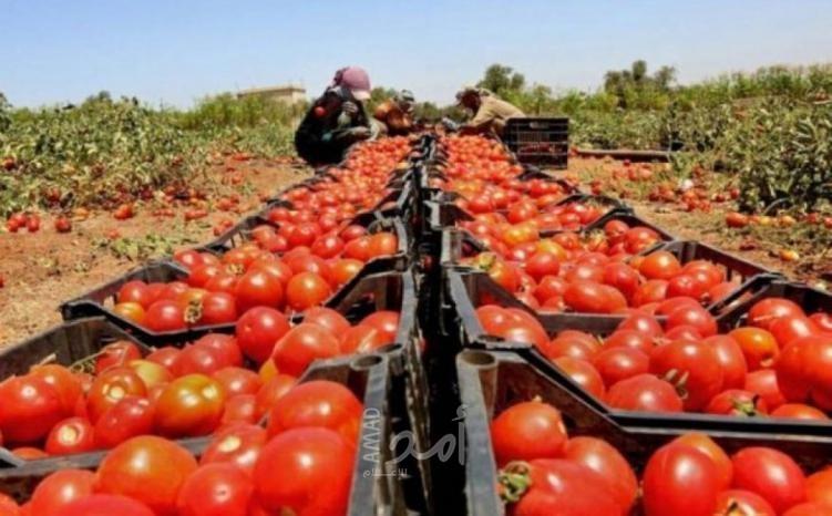 اتحادات وشركات زراعية تدعم قرار حكومة رام الله منع إدخال المنتجات الإسرائيلية