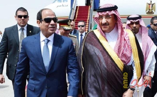 مصر: إحالة أوراق 8 متهمين إلى المفتي في قضية محاولة اغتيال السيسي ومحمد بن نايف