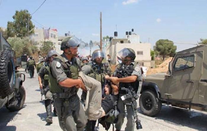 أولهم راشيل كوري.. حصيلة انتهاكات قوات الاحتلال ضد المتضامنين والمنظمات الدولية في فلسطين