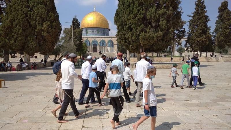 مستوطنون يقتحمون ساحات "الأقصى" في القدس- فيديو