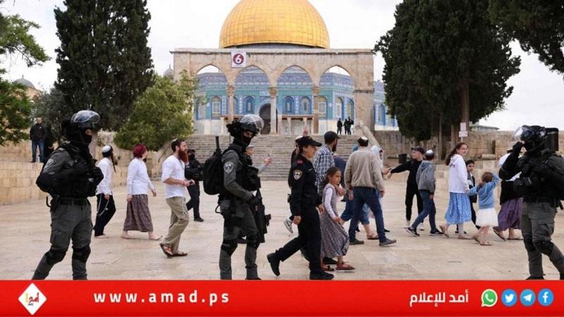 مستوطنون إرهابيون يقتحمون "الأقصى" بحراسة مشددة