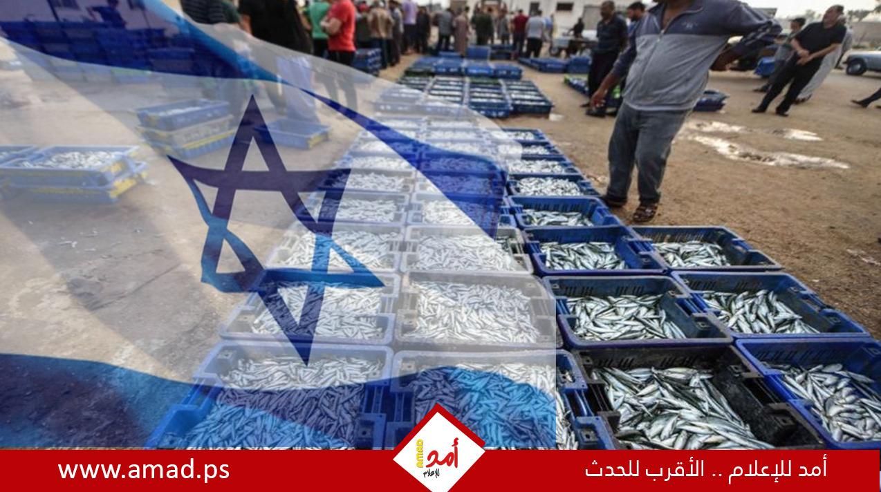 تقرير: صيادو غزة يتحدّون خطر القصف لإطعام أُسرهم من فتات البحر