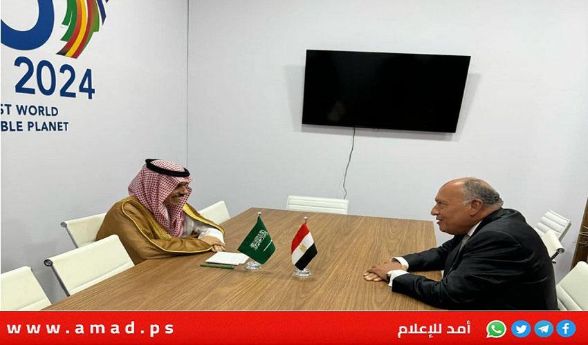 خلال لقاء شكري وبن فرحان..رفض سعودي مصري قاطع لأي عملية إسرائيلية برفح