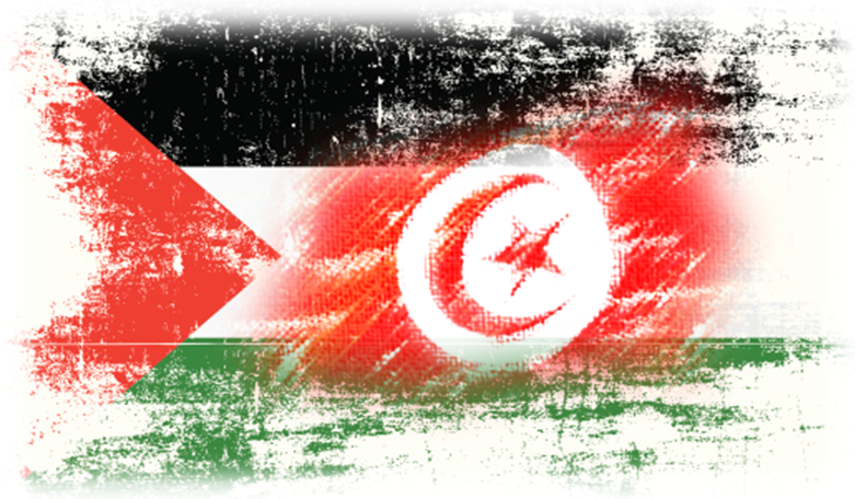 رئيس ديوان الموظفين الفلسطيني يبحث مع نظيره التونسي التعاون المشترك