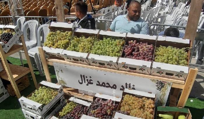 صور خاصة وصلت "أمد للإعلام" من المهرجان