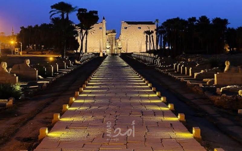 "بعرض مبهر".. طريق الكباش يرى النور بعد آلاف السنين - صور وفيديو