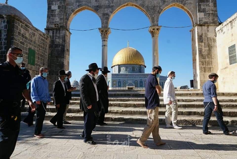(321) مستوطناً اقتحموا الأقصى خلال الأسبوع الماضي