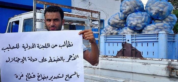 بالصور.. مزارعو غزة يحتجون على توقف تصدير خضراوتهم: "لدينا فائض عن حاجة السوق"