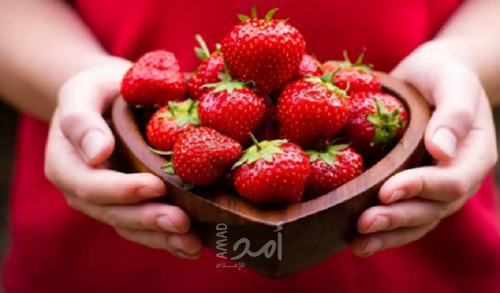 تطبيقا لـ"التفهامات"...قناة عبرية: السماح بإدخال "الفراولة والطماطم" من غزة إلى اسرائيل