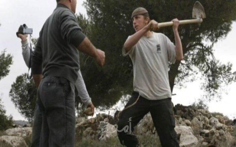 لجنة تدين:  مستوطنون إرهابيون يعتدون على كنيسة الروح القدس والحديقة اليونانية في القدس