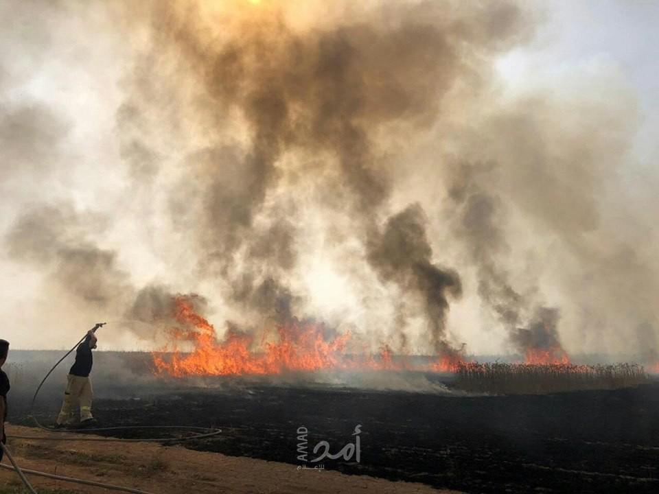 الإعلام العبري: 14حريقاً في بلدات إسرائيلية بفعل بالونات حارقة أطلقت من غزة