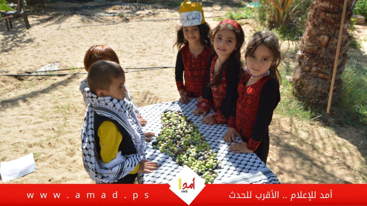 شاهد - أطفال يشاركون الفلاح الفلسطيني قطف ثمار الزيتون