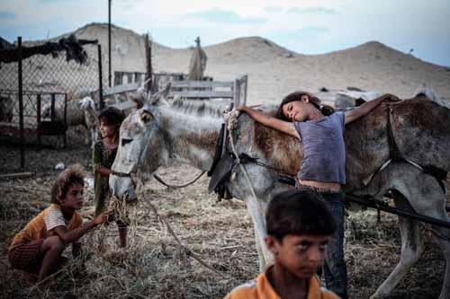فلسطيني في سياتل يحصل على جائزة أفضل صورة