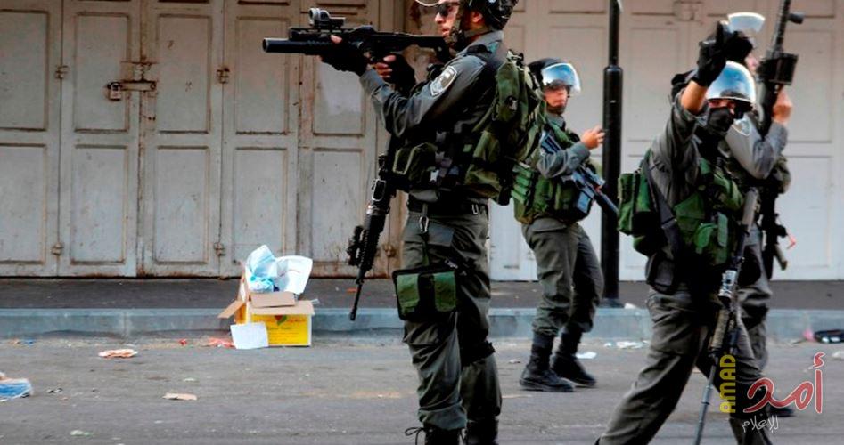 جيش الاحتلال يهدم بركة مياه في الأغوار الشمالية