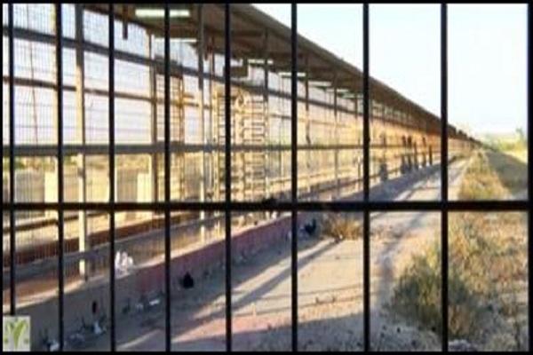 الميزان يستنكر ممارسات الاحتلال الإسرائيلي المدفوعة بالتمييز العنصري والكراهية