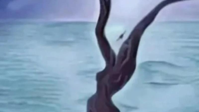 فخ يقع فيه رواد تيك توك