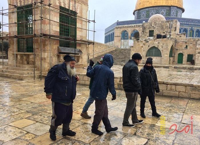 مستوطنون يواصلون اقتحام الأقصى بحراسةٍ مشددة
