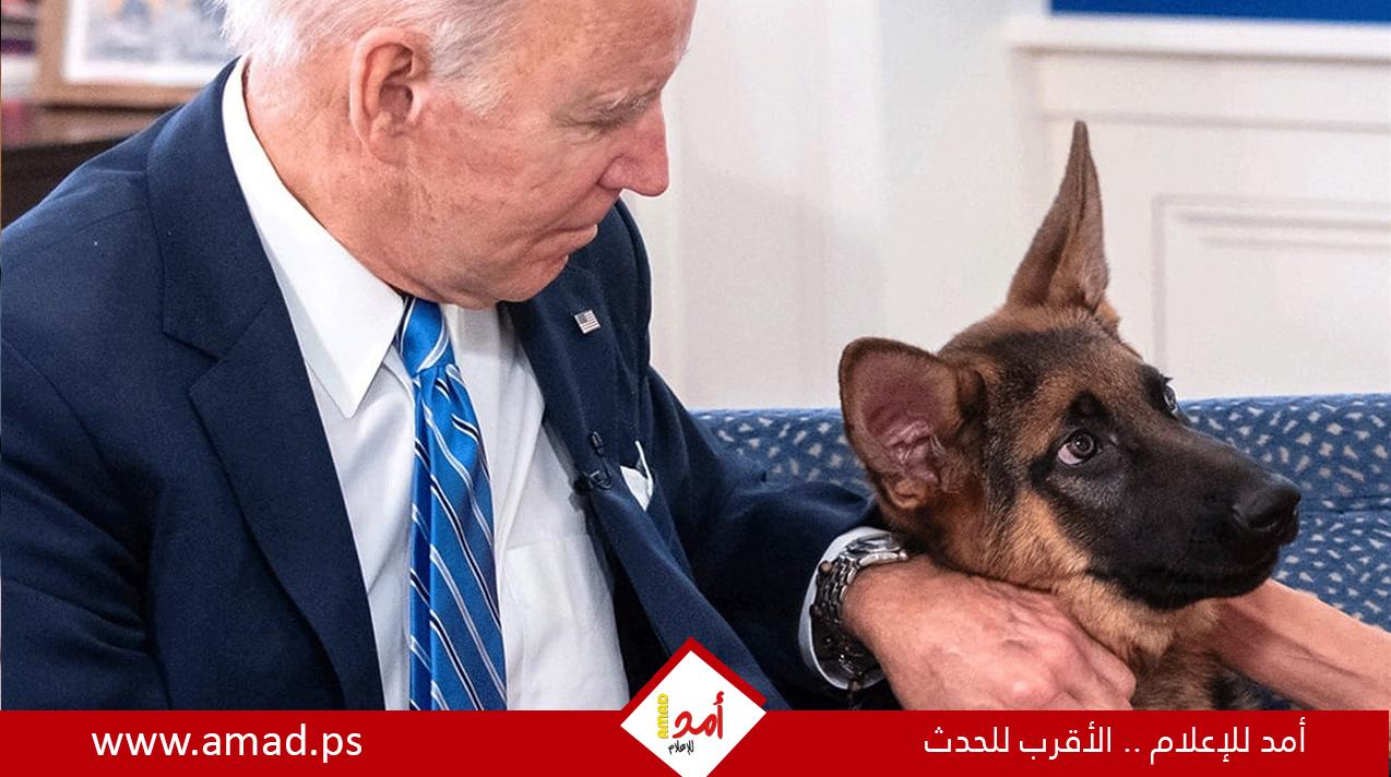 استبعاد كلب الرئيس الأميركي جو بايدن "كوماندر" من البيت الأبيض