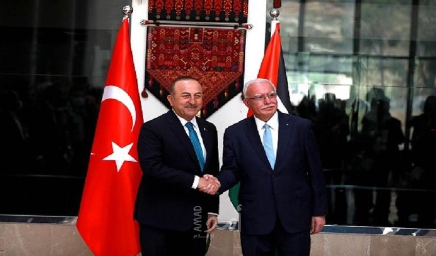 أردوغان يستقبل عبد الله بن زايد في إسطنبول