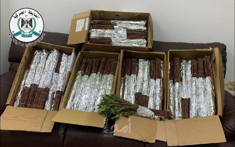 جهاز الضابطة الجمركية يضبط 55 كيلوغرام من نبتة القات المخدر في نابلس