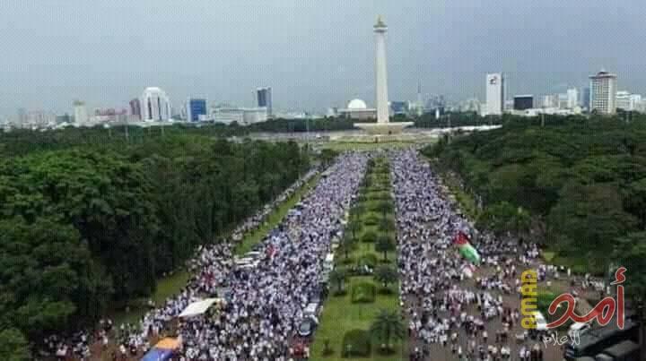بالفيديو والصور.. الآلاف يشاركون في مسيرات دعم للشعب الفلسطيني في إندونيسيا