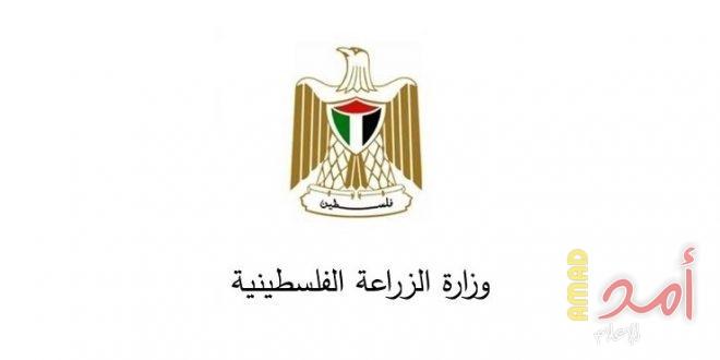زراعة حماس في الوسطى توزع رخص مزاولة تربية "الدجاج اللاحم"