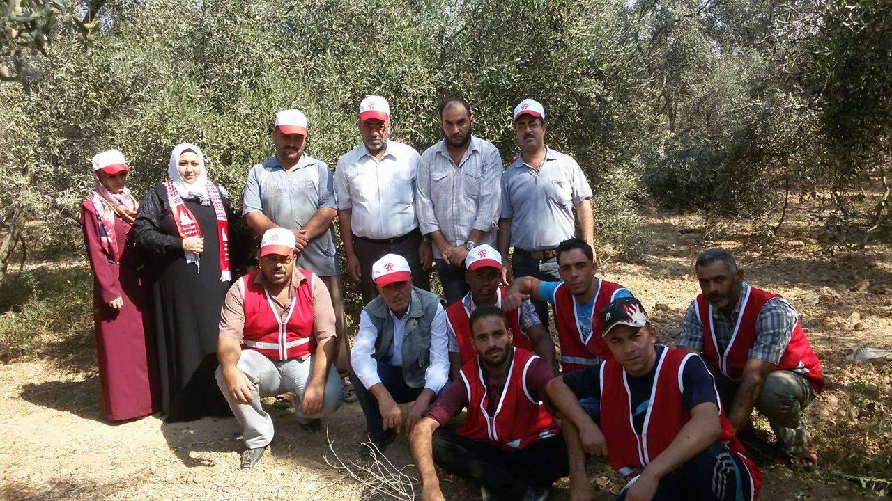 الجبهة الديمقراطية بالوسطى تشارك المزارعين قطف الزيتون شرق البريح
