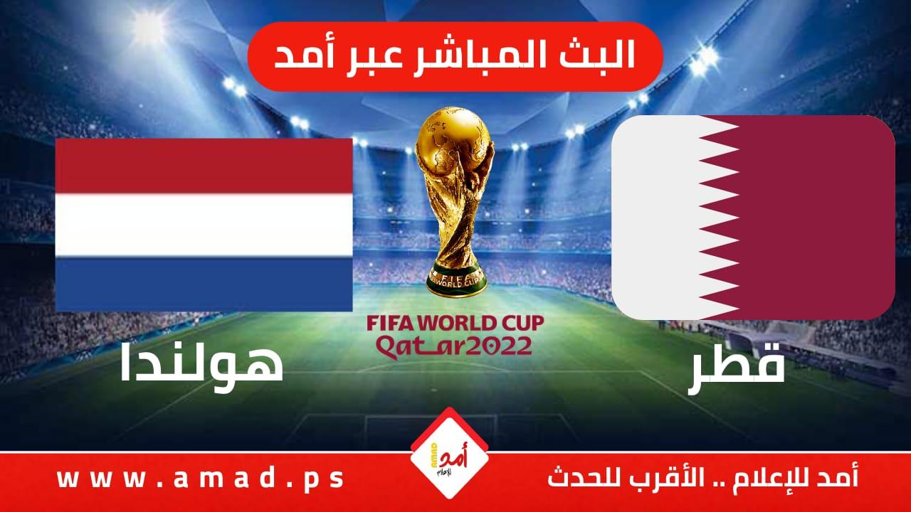 هولندا تتأهل الى الدور الثاني بعد فوزها على قطر  بهدفين لصفر في كأس العالم- فيديو