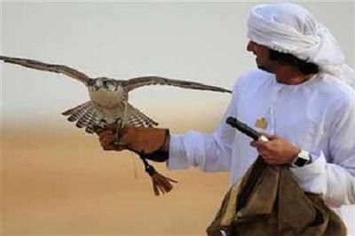 العراق: اختطاف أمير  و 25 صياد قطري في النجف.. وخارجية قطر: نعمل لإطلاق سراحهم