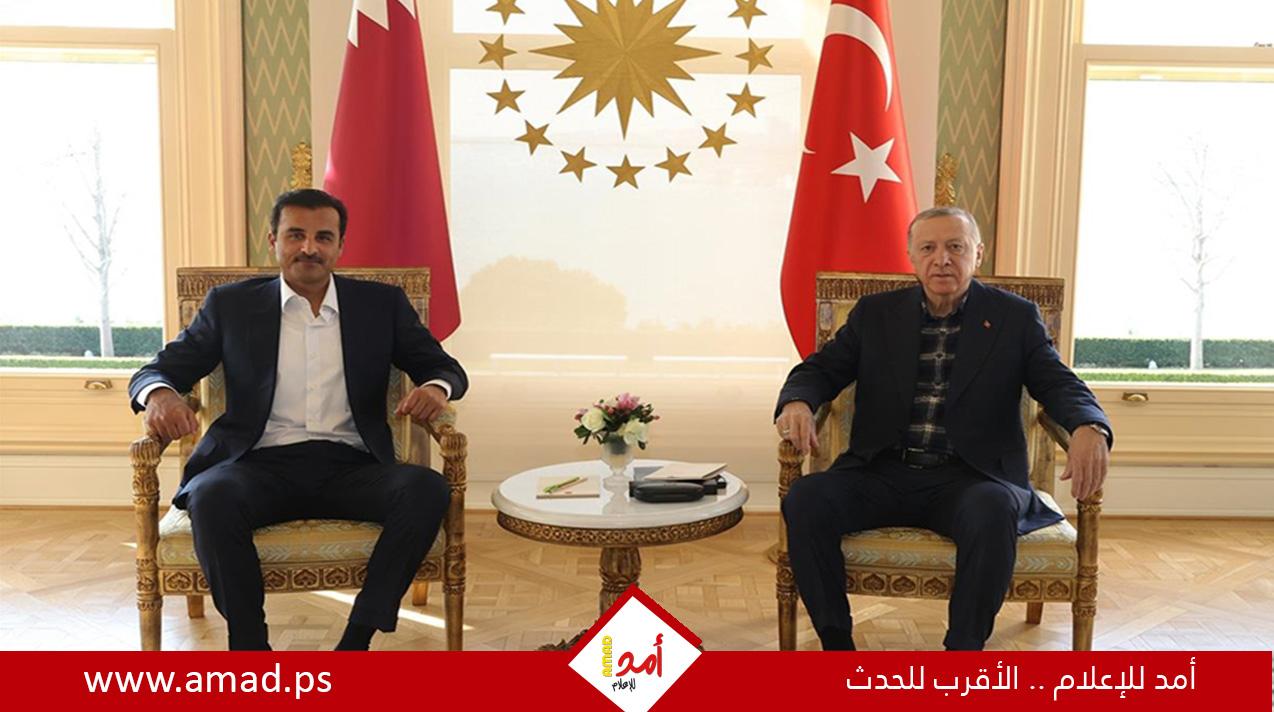 الرئيس أردوغان يلتقي أمير قطر في إسطنبول