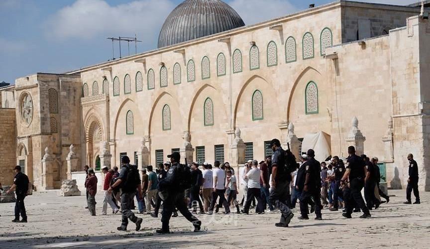 571 مستوطنًا اقتحموا الأقصى الأسبوع الماضي
