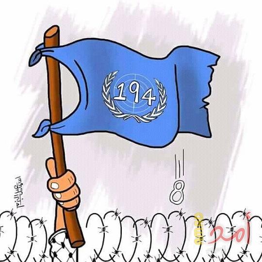 قرار 194 وحق العودة