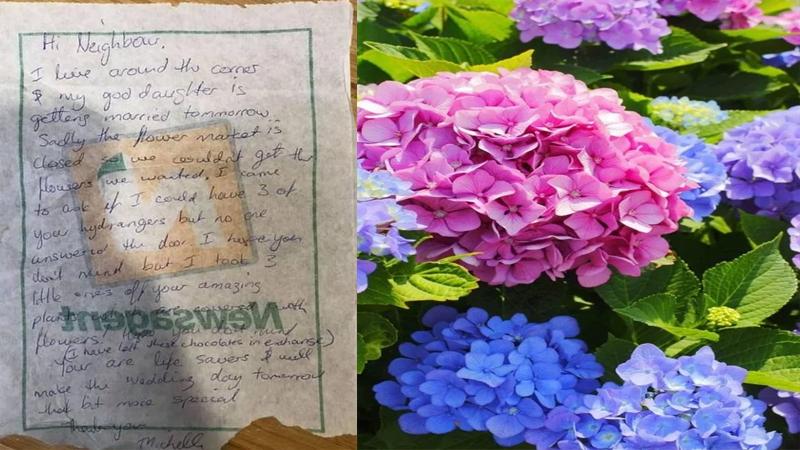 سيدة تسرق جارتها وتترك لها رسالة وهدية