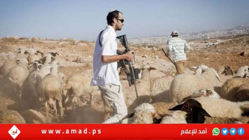 إصابة طفلين برصاص مستوطنين في دير قديس غرب رام الله