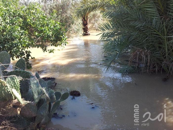 للمرة الإولى منذ انقلاب حماس..السماح بتسويق المنتجات الزراعية من غزة في إسرائيل
