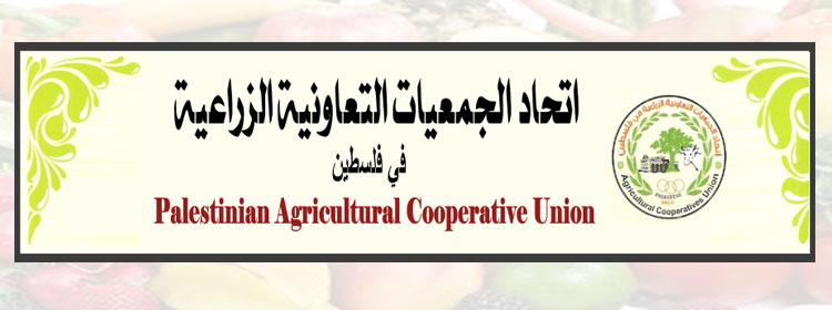 تشكيل اتحاد الجمعيات التعاونية الزراعية في قطاع غزة