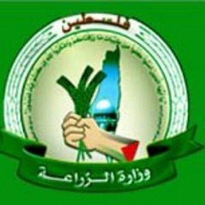 وزارة الزراعة تحدد أسعار الأضاحي
