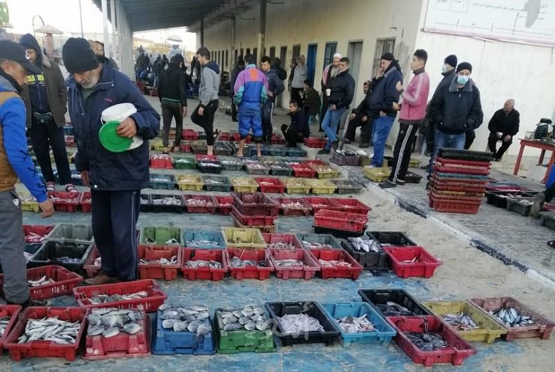 زراعة حماس: (65) طناً من الأسماك تم اصطيادها بعد المنخفض الأخير في بحر غزة
