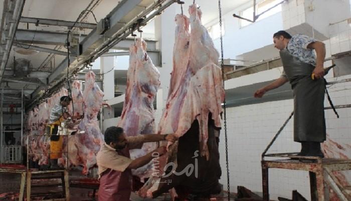 دائرة البيطرة في بلدية غزة تكثف جهودها الرقابية على محلات الجزارة