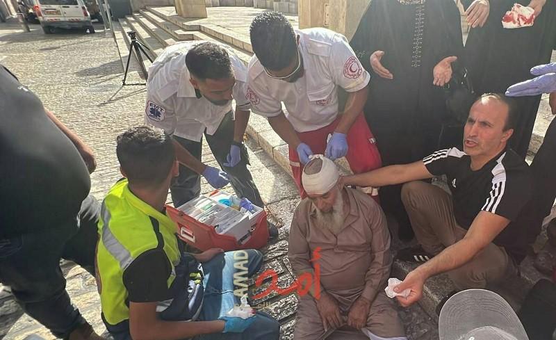 تحت حماية شرطة الاحتلال.. فرق المستوطنين الإرهابية تقتحم"المسجد الأقصى"- فيديو وصور