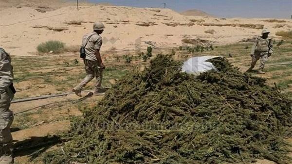 حرس الحدود المصرية توجه ضربات قاصمة لـ"تجار الموت ..  وتدخل 5608 عربة محملة بالبضائع والسلع إلى غزة