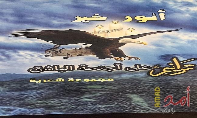 ترانيم على أجنحة الباشق