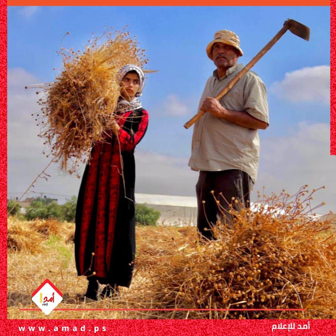شاهد/// دعاء الباز مصورة من غزة .. قصة نجاح من وسط الجراح